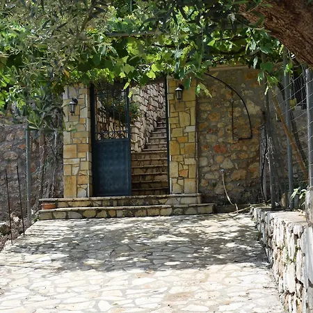 Freddie' S House *